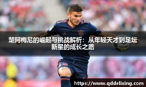 Top1体育手机下载